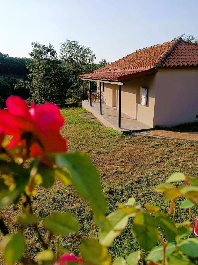 Villa Billy'S House à Kalambaka Extérieur photo